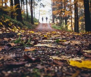 Preview wallpaper path, autumn, nature, silhouettes, walk