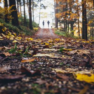 Preview wallpaper path, autumn, nature, silhouettes, walk