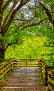 Preview wallpaper path, boards, trees