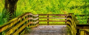Preview wallpaper path, boards, trees