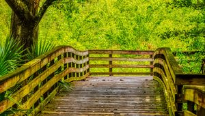 Preview wallpaper path, boards, trees