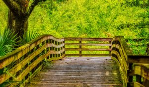 Preview wallpaper path, boards, trees