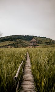 Preview wallpaper path, building, grass, distance, hill