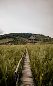 Preview wallpaper path, building, grass, distance, hill