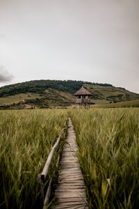 Preview wallpaper path, building, grass, distance, hill