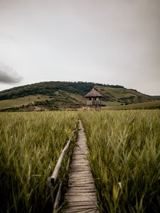 Preview wallpaper path, building, grass, distance, hill