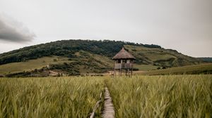 Preview wallpaper path, building, grass, distance, hill