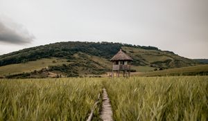 Preview wallpaper path, building, grass, distance, hill