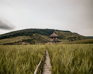 Preview wallpaper path, building, grass, distance, hill