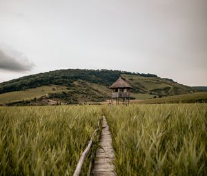 Preview wallpaper path, building, grass, distance, hill