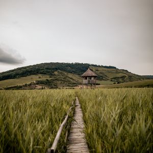 Preview wallpaper path, building, grass, distance, hill