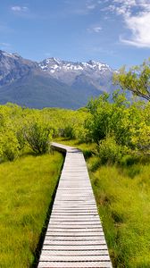 Preview wallpaper path, bushes, mountains, landscape