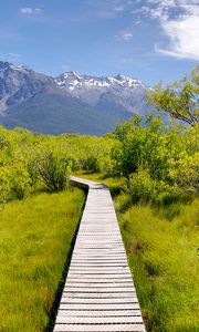 Preview wallpaper path, bushes, mountains, landscape