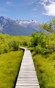Preview wallpaper path, bushes, mountains, landscape
