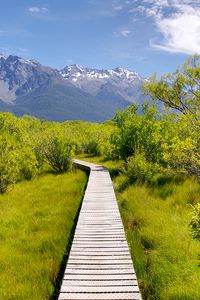 Preview wallpaper path, bushes, mountains, landscape