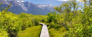 Preview wallpaper path, bushes, mountains, landscape