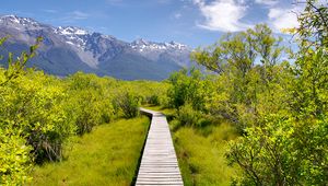Preview wallpaper path, bushes, mountains, landscape