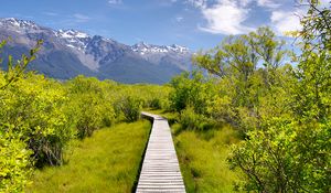 Preview wallpaper path, bushes, mountains, landscape