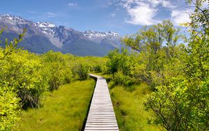 Preview wallpaper path, bushes, mountains, landscape