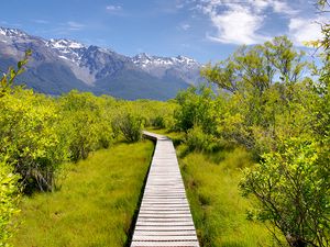 Preview wallpaper path, bushes, mountains, landscape