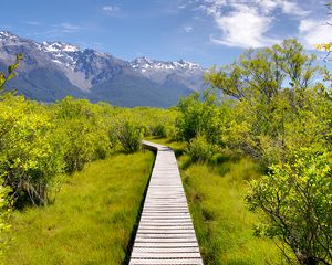 Preview wallpaper path, bushes, mountains, landscape
