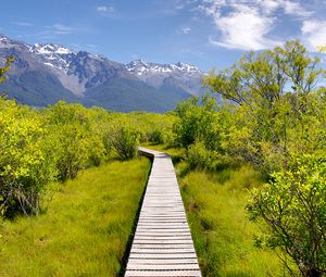 Preview wallpaper path, bushes, mountains, landscape