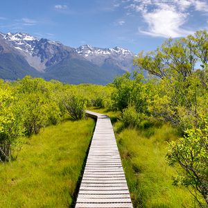 Preview wallpaper path, bushes, mountains, landscape