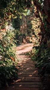 Preview wallpaper path, bushes, plants, nature