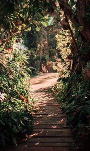 Preview wallpaper path, bushes, plants, nature