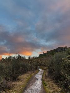 Preview wallpaper path, bushes, rock, nature, landscape