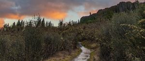 Preview wallpaper path, bushes, rock, nature, landscape