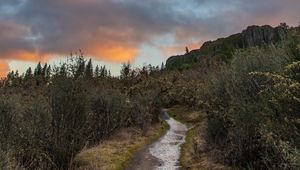 Preview wallpaper path, bushes, rock, nature, landscape