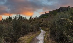 Preview wallpaper path, bushes, rock, nature, landscape