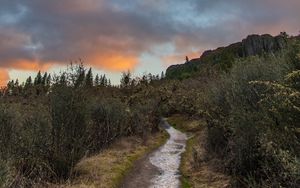 Preview wallpaper path, bushes, rock, nature, landscape