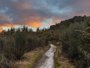 Preview wallpaper path, bushes, rock, nature, landscape