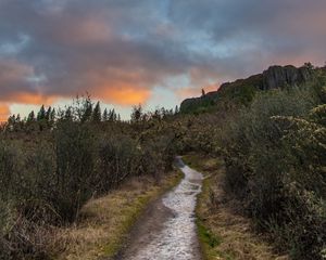 Preview wallpaper path, bushes, rock, nature, landscape