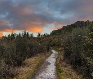 Preview wallpaper path, bushes, rock, nature, landscape