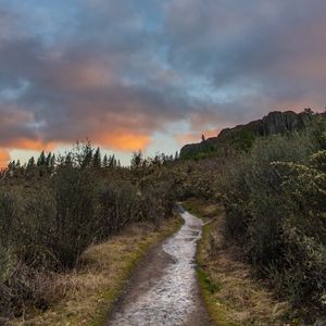 Preview wallpaper path, bushes, rock, nature, landscape