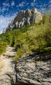 Preview wallpaper path, bushes, rock