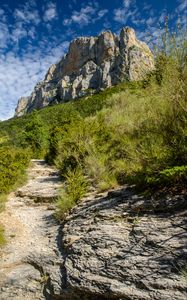 Preview wallpaper path, bushes, rock
