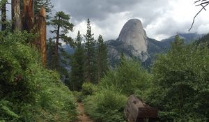 Preview wallpaper path, bushes, trees, mountain