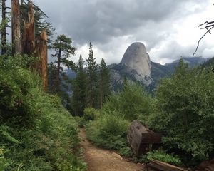 Preview wallpaper path, bushes, trees, mountain