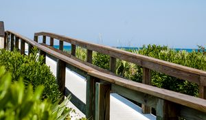 Preview wallpaper path, bushes, wood