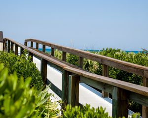 Preview wallpaper path, bushes, wood
