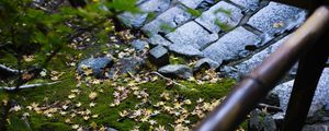 Preview wallpaper path, fallen leaves, autumn, garden