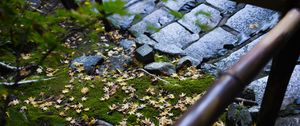 Preview wallpaper path, fallen leaves, autumn, garden