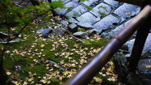 Preview wallpaper path, fallen leaves, autumn, garden