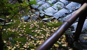 Preview wallpaper path, fallen leaves, autumn, garden