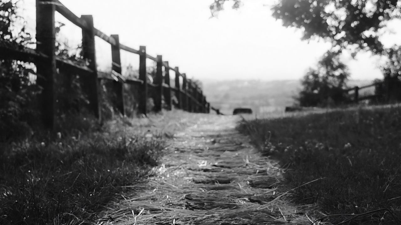 Wallpaper path, fence, bw, grass