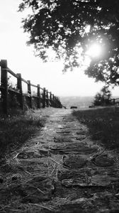 Preview wallpaper path, fence, bw, grass